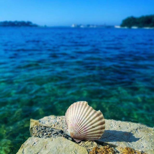 Apartmani Marina Poreč Kültér fotó